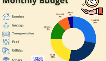 cream colour with colour ful pie chart showing budget allocation